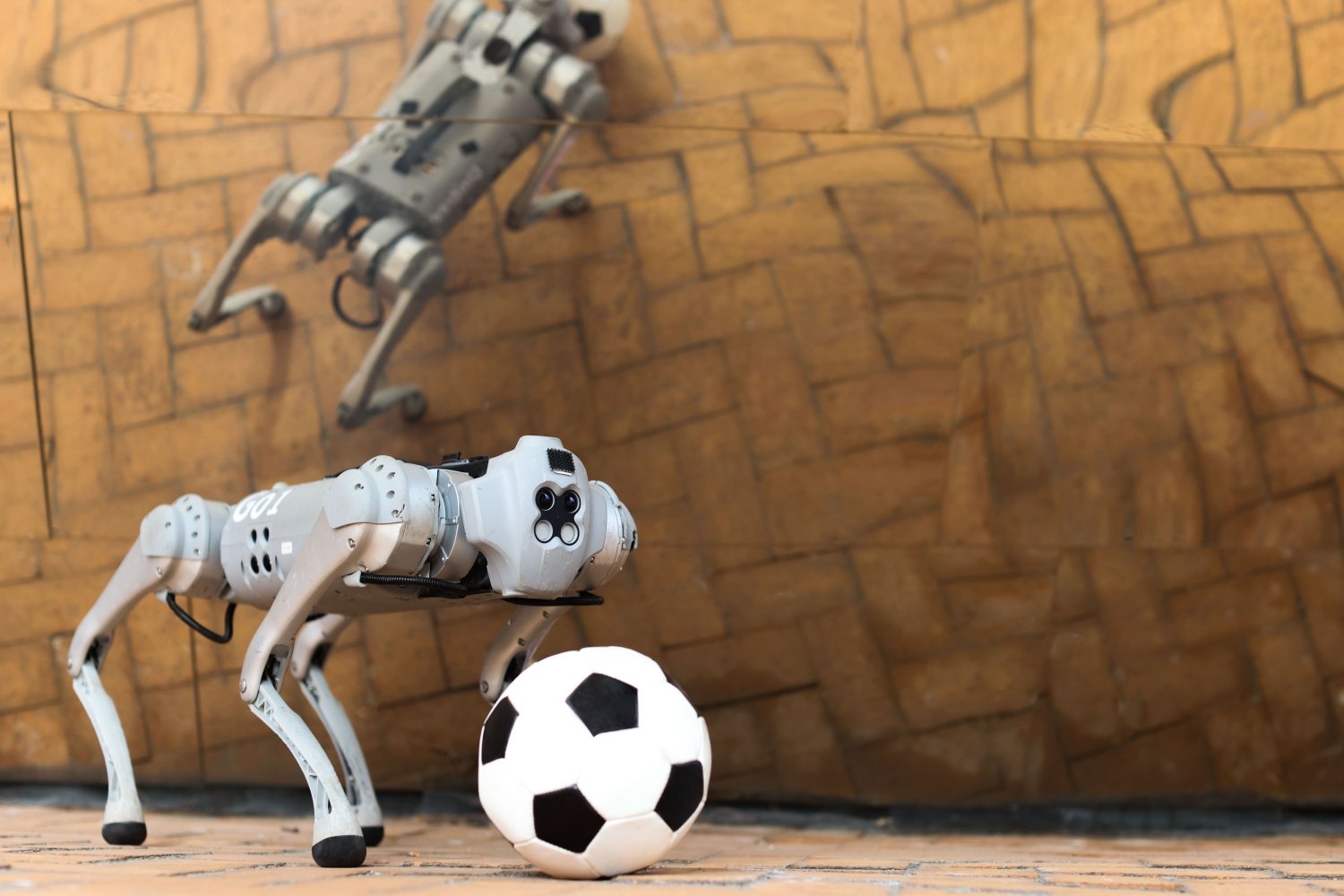 Read more about the article A four-legged robotic system for playing soccer on various terrains