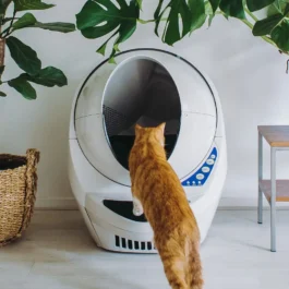Litter-Robot 3 Connect – Reconditioned