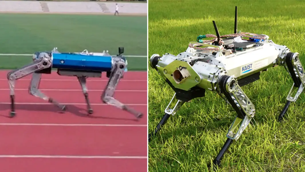 Read more about the article Hound, the Robo-Dog, Creates History as the Speedster in the World of Four-Legged Robot Sprinters