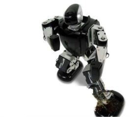 GOWE Metal Fighter Robots/Humanoid and Biped Robots