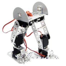 GOWE AS-6DOF Biped Robot(With Electrict Part)