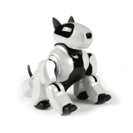 DST ROBOT – GENIBO SD COMPANION ROBOT DOG