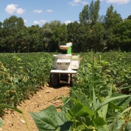 OZ Autonomous farm robot