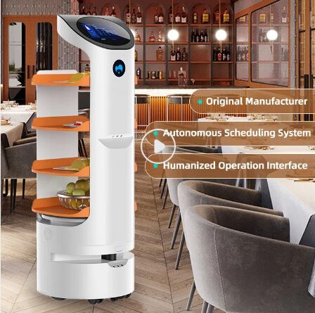 Reeman Autonomous Food Delivery Waiter Robot